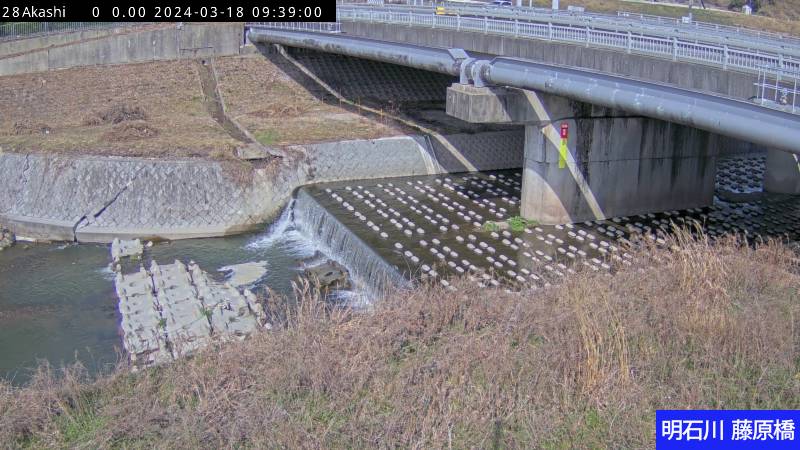 明石川 藤原橋の平常時の画像です