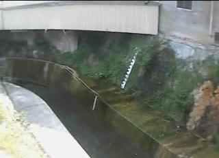 妙法寺川 上与市橋の河川増水映像